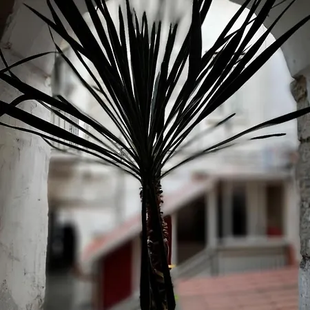 Pensión Stanze Vivaci